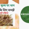 msp मूल्य पर धान बेचने के लिए यह पूरी प्रक्रिया समझें। msp dhan price।