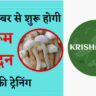 1 सितम्बर से शुरू की जाएगी मशरूम उत्पादन की ट्रेनिग, अभी करें आवेदन।