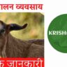 बकरी पालन व्यवसाय। bakri palan business। goat farming in hindi। पूरी जानकारी।