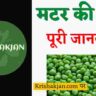 मटर की खेती। matar ki kheti। पूरी जानकारी।