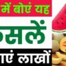 मार्च में बोई जाने वाली फसलें। march me boi jane wali sabji