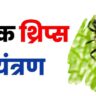 black thrips control। ब्लैक थ्रिप्स को नियंत्रण कैसे करें। black thrips।