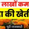 genda ki kheti