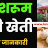 masrum ki kheti kaise kare
