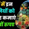 May me boi jane wali sabji