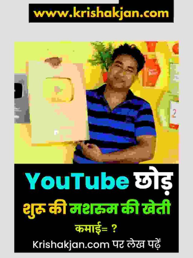 YouTube Chod Shuru Ki Mushroom Ki Kheti Kamai Crore