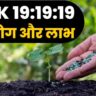 NPK 19:19:19 ke upyog aur labh