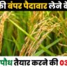 3 methods of preparation of paddy seedlings
