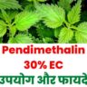 Pendimethalin 30% EC ke fayde aur upyog