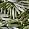 Bhindi