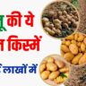 Aalu ki unnat Kisme