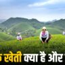 Jaivik Kheti
