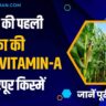 India's first Provitamin-A maize varietiy