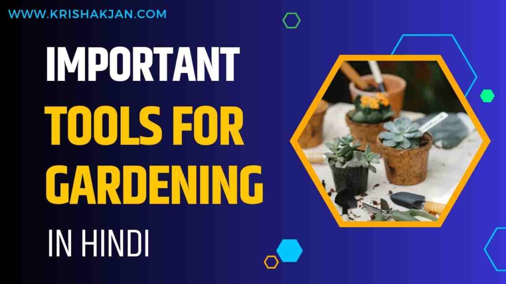Important tools for gardening