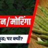 Why called moringa is superfood
