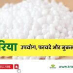 Urea ke upyog fayde nuksan price