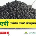 dap-fertilizer-ke-upyog-labh-nutrients-uses
