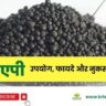 dap-fertilizer-ke-upyog-labh-nutrients-uses