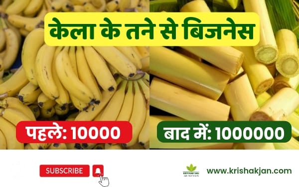 banana-fiber-business-ideas