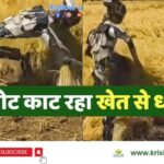 Robot-kaat-raha-khet-me-dhan-video-viral
