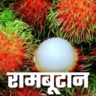 रामबूटान की खेती से कमाएं 40 लाख रुपए। Rambutan Ki Kheti