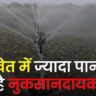 खेत में ज्यादा पानी है खतरनाक; जाने क्यों और कैसे?