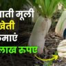 barsati muli ki kheti
