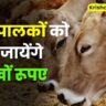 ngra scheme 2024