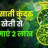 ऐसे करें बरसाती कुंदरु की खेती; कमाई 2 लाख प्रति एकड़। Barsati Kundru Ki Kheti