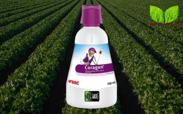 Coragen Insecticide: Uses, Benefits, Price