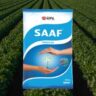 SAAF Fungicide: उपयोग, डोज, मूल्य, फायदे और नुकसान