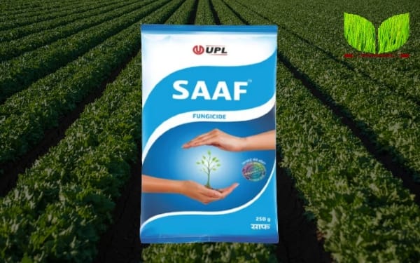 SAAF Fungicide: उपयोग, डोज, मूल्य, फायदे और नुकसान