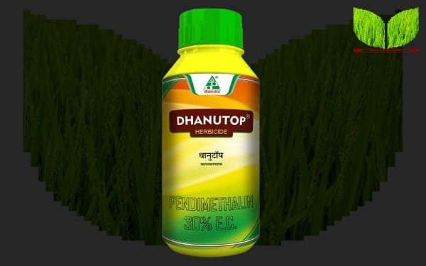 DHANUTOP Herbicide: उपयोग, डोज, मूल्य, फायदे और नुकसान